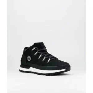 Botines de hombre Timberland TB0A266B0151