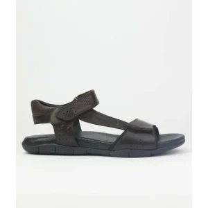 Sandalias de hombre Kangaroos 270-18