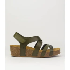 Sandalias de mujer Coronel Tapiocca C1201-16