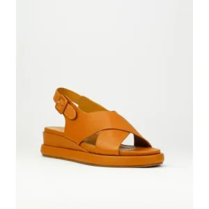 Sandalias de mujer Elvio Zanon 3408X