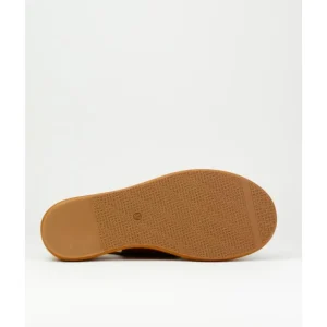 Sandalias de mujer Elvio Zanon 3408X