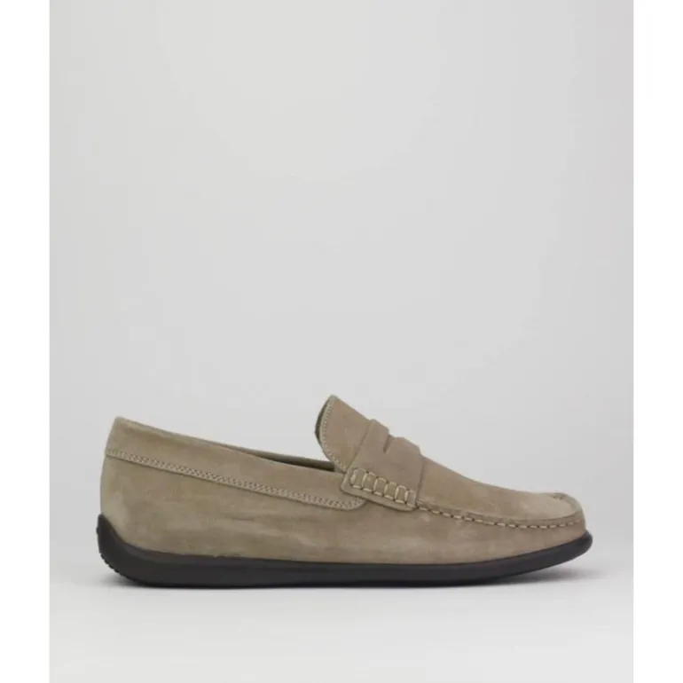 zapatos_de_hombre_frau_b_0.webp Zapatos de hombre Frau 14B2