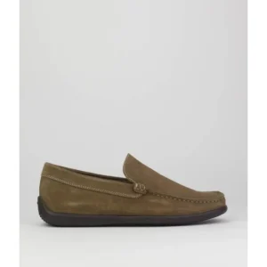 Zapatos de hombre Frau 14FA
